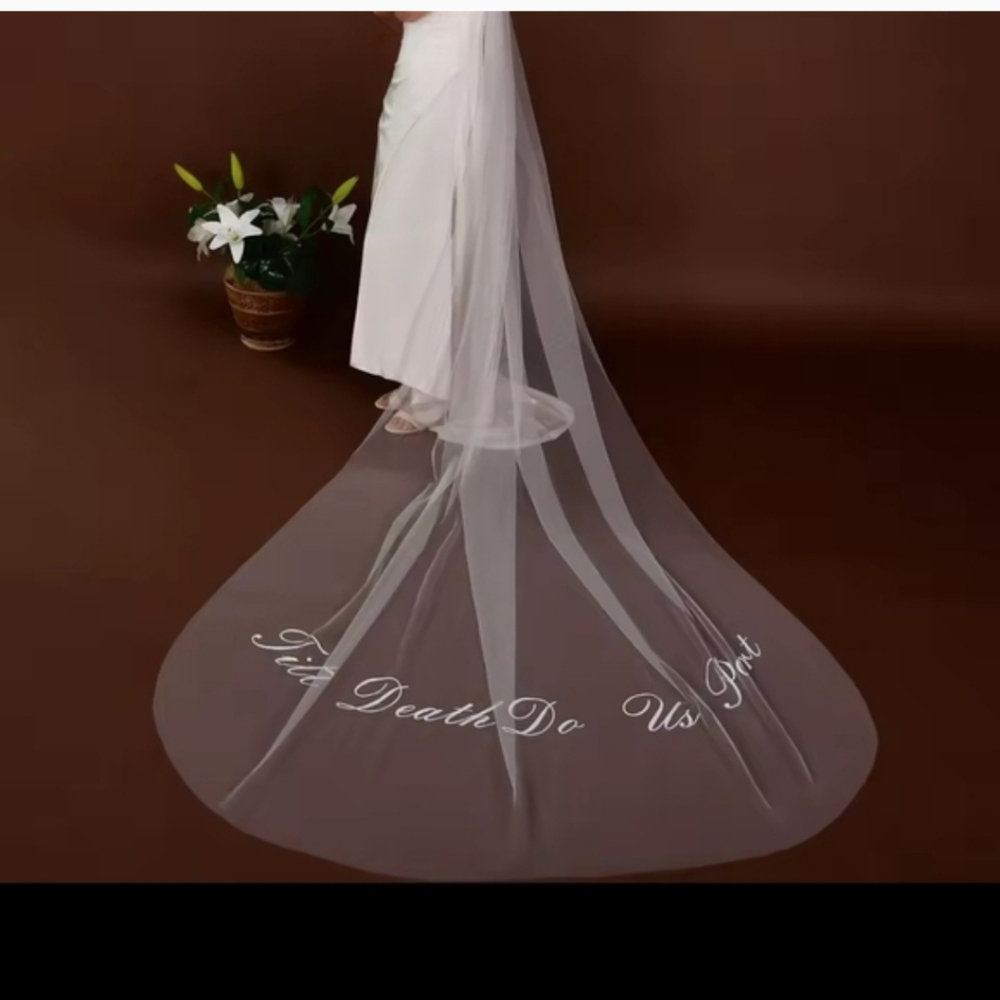 Elegant Creamy White Bridal Veil